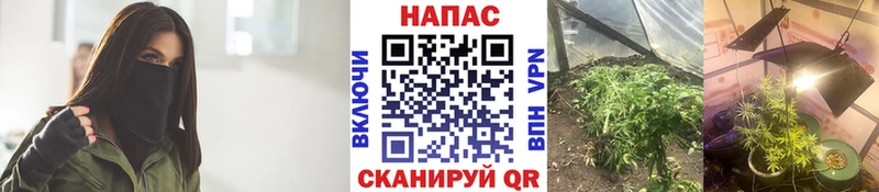 Виды наркоты Зима Галлюциногенные грибы  Codein  Каннабис  КОКАИН  Меф 