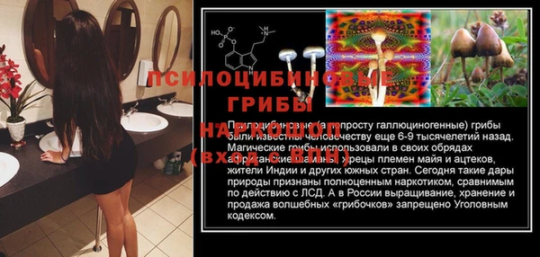 трава Волосово