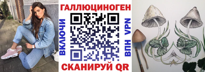 наркота  MEGA ССЫЛКА  Псилоцибиновые грибы мухоморы  даркнет состав  Зима 