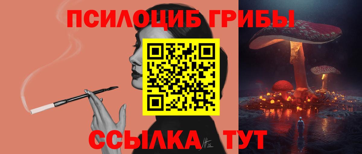 Псилоцибиновые грибы мицелий  Псилоцибиновые грибы Cubensis  Вход с VPN  Зима 