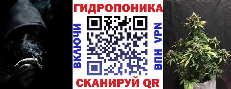 купить  цена  Зима  Марихуана гибрид 